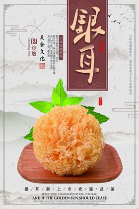 银耳海报