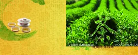 茶文化海报