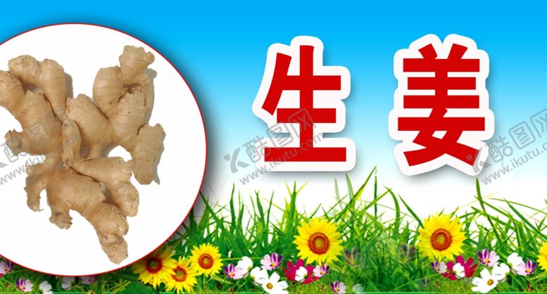编号：22460110232250084182【酷图网】源文件下载-生姜