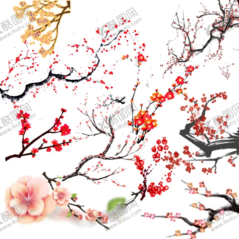 编号：50722105120811599014【酷图网】源文件下载-梅花