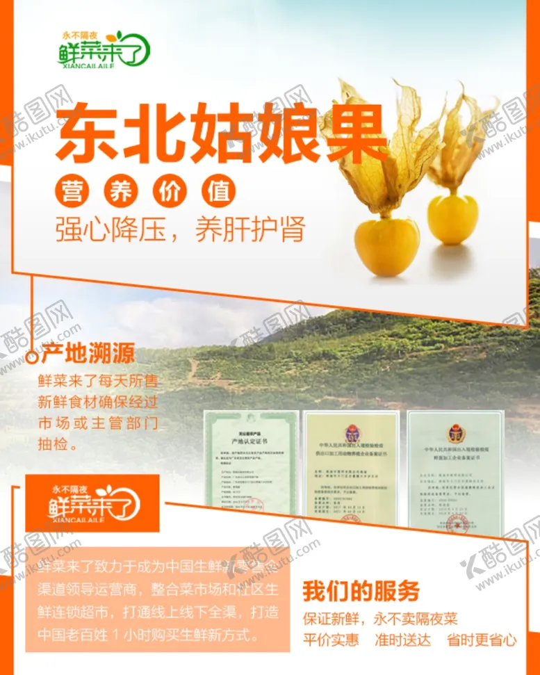 编号：46919904301344469330【酷图网】源文件下载-东北姑娘果详情页