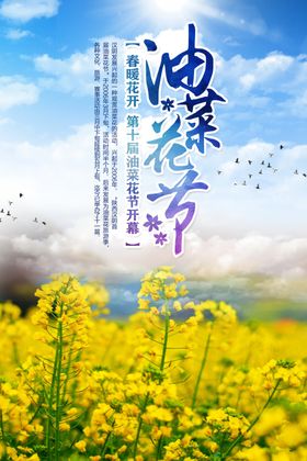 油菜花