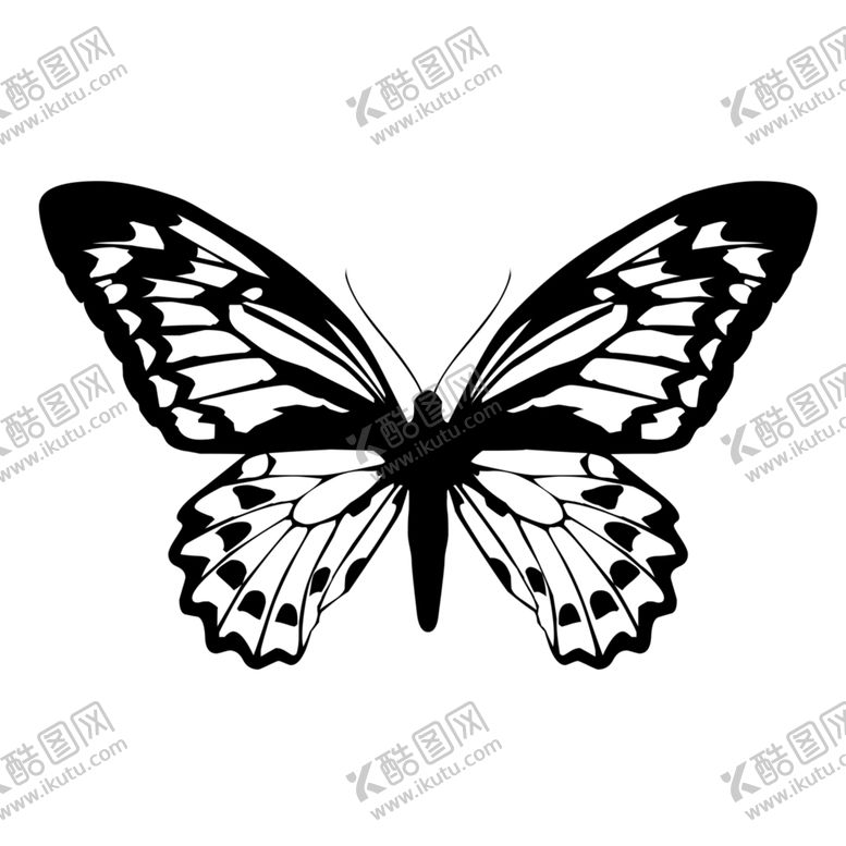 编号：58617709300912529608【酷图网】源文件下载-蝴蝶素材