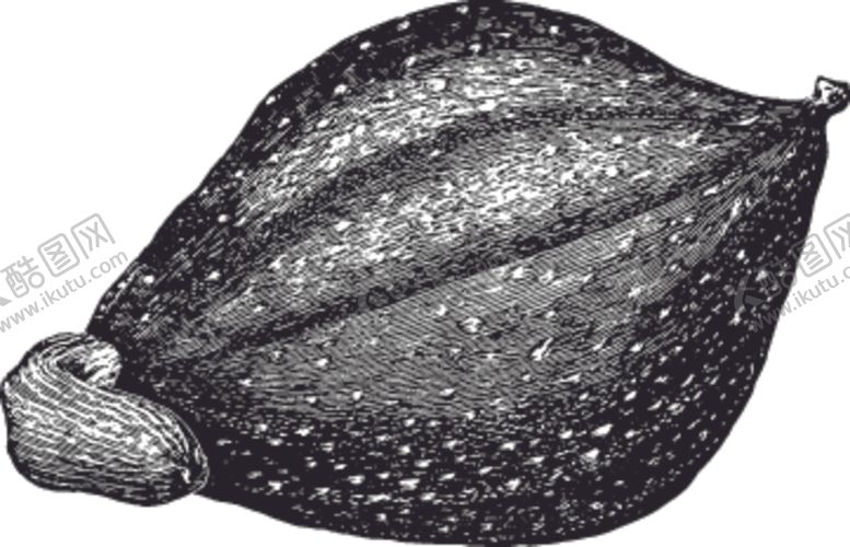 编号：84172210272055224131【酷图网】源文件下载-素描手绘蔬菜