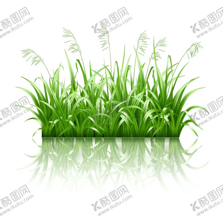 编号：66580109220512437009【酷图网】源文件下载-草小草花草小花小草素材