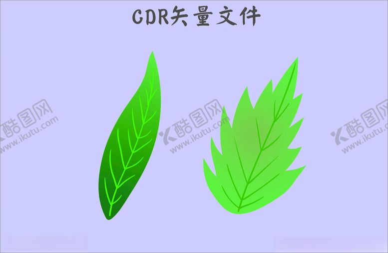 编号：21674802172011063252【酷图网】源文件下载-树叶