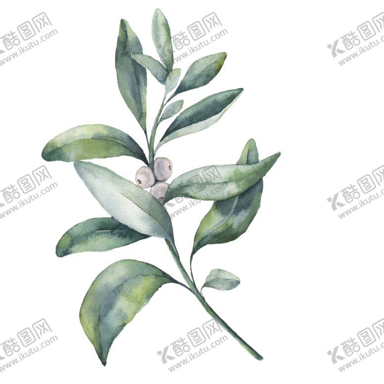 编号：38297701131841554513【酷图网】源文件下载-手绘花卉