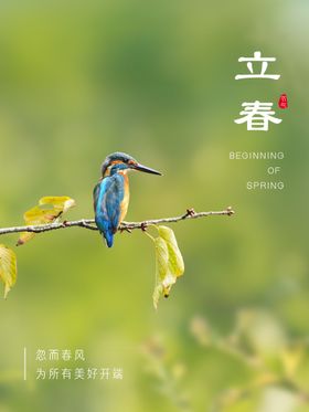 立春广告宣传节气海报