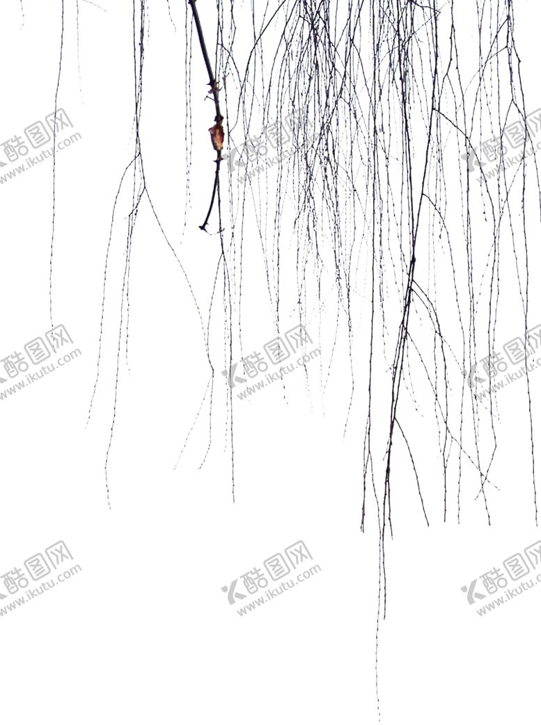 编号：84593410090454411722【酷图网】源文件下载-枯枝前景