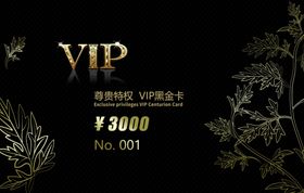 高端VIP会员卡金卡磁卡唯美