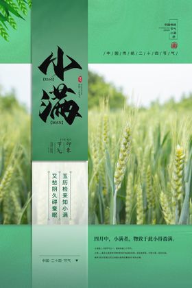 小满节气海报微信海报朋友圈