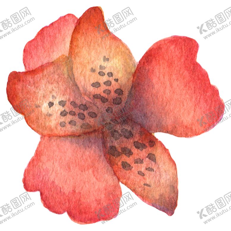 编号：69140209162355284232【酷图网】源文件下载-水彩植物