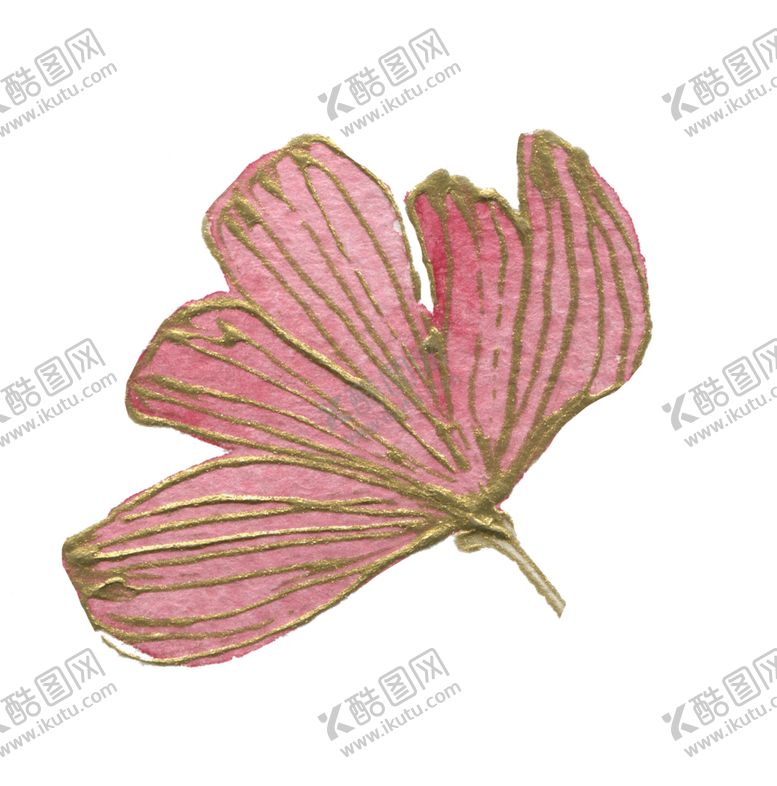 编号：74018302091541407546【酷图网】源文件下载-高清典雅花卉PNG素材系列