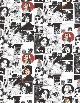 报纸数码印动漫