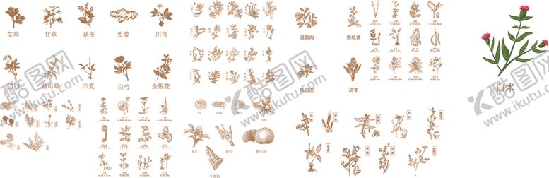 编号：64562306300002054555【酷图网】源文件下载-中药大全