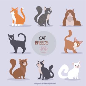 扁平化可爱小猫