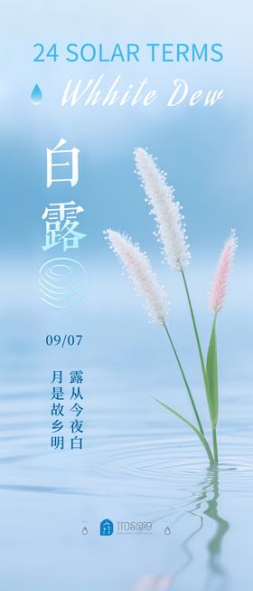白露海报