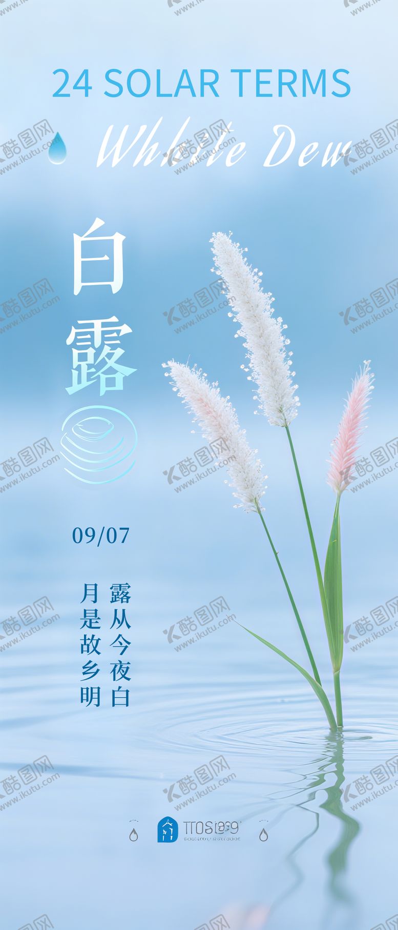 编号：33272110060420204196【酷图网】源文件下载-白露海报