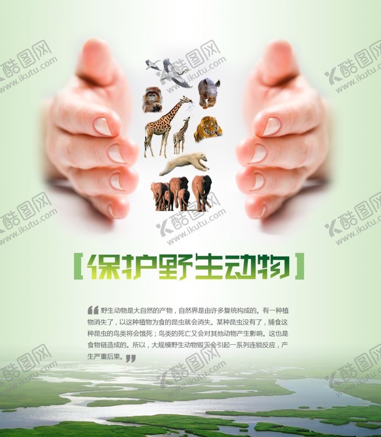 编号：89807410261744189449【酷图网】源文件下载-保护野生动物