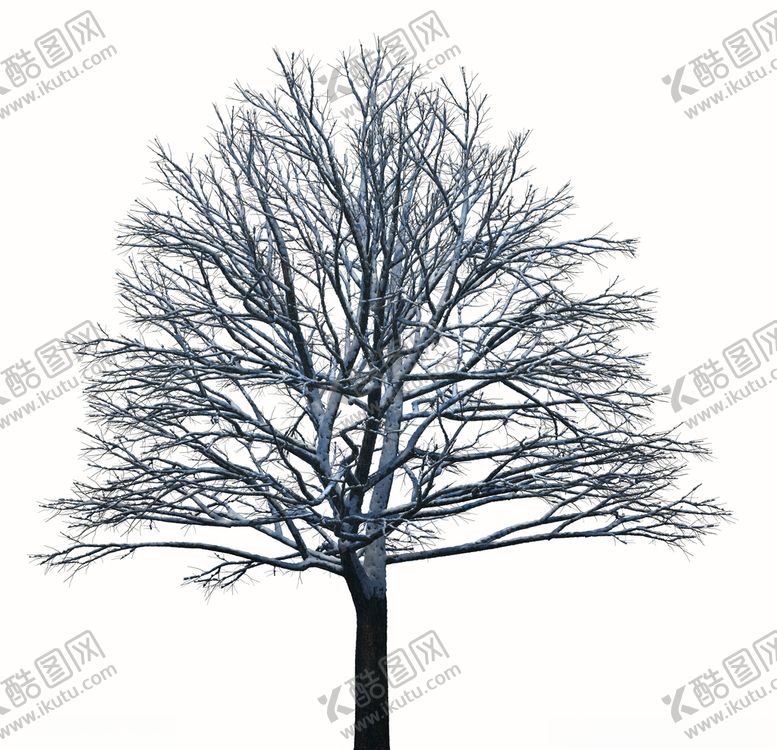 编号：68546209280718594500【酷图网】源文件下载-树林