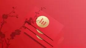 样机新年效果展示新年包装