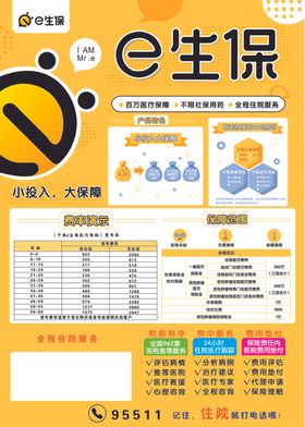 e生保单页
