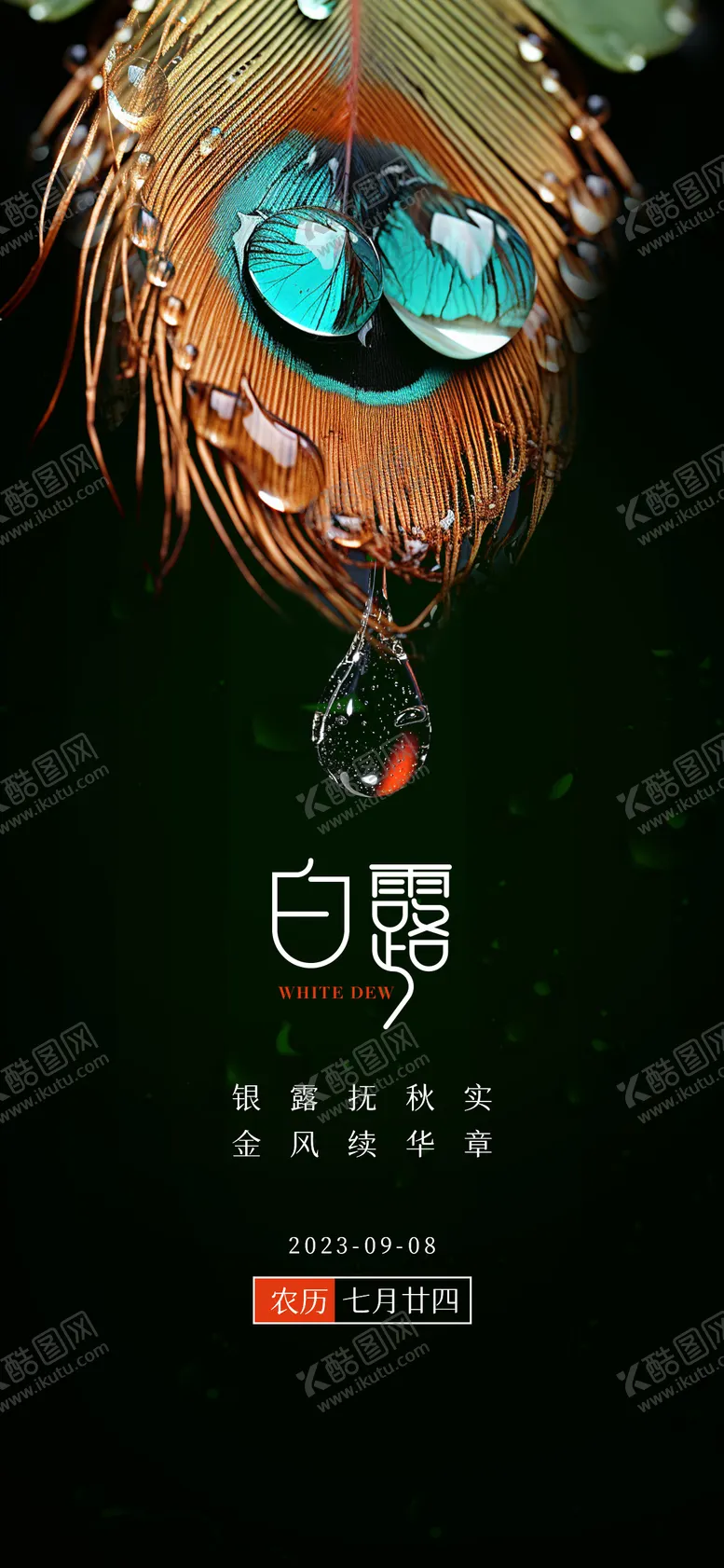 编号：68996311221046249272【酷图网】源文件下载-白露节气简约移动端海报