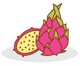 火龙果背景手绘矢量