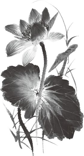 水墨荷花粉色荷花荷花意境中式装饰画鸟画