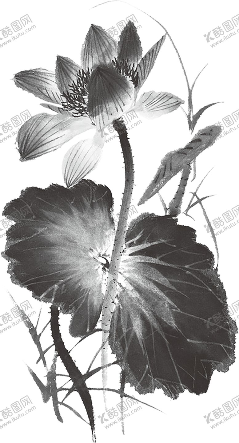 编号：64575704302358151176【酷图网】源文件下载-水墨荷花粉色荷花荷花意境