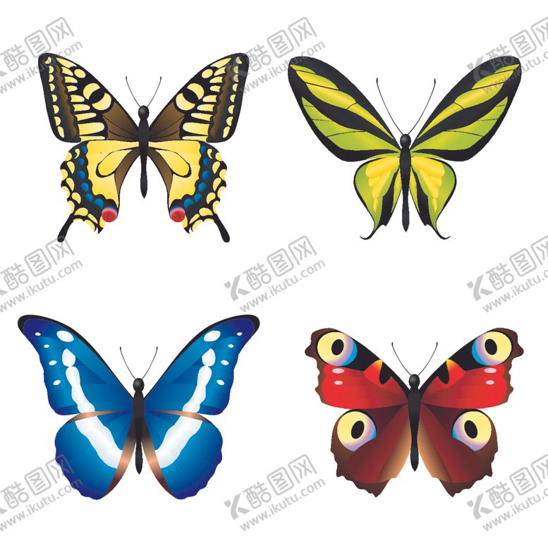 编号：72712310080153101232【酷图网】源文件下载-蝴蝶