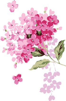 丁香花