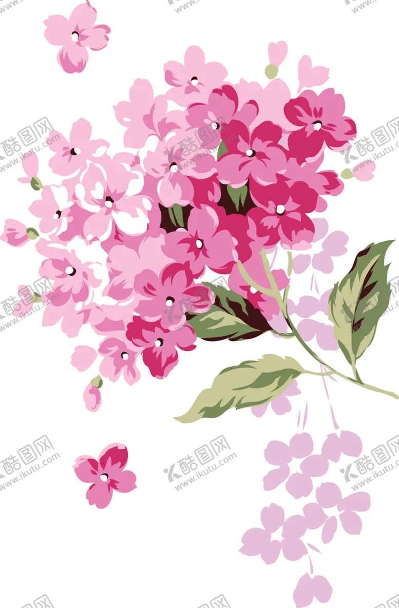 编号：30063407012211345322【酷图网】源文件下载-丁香花