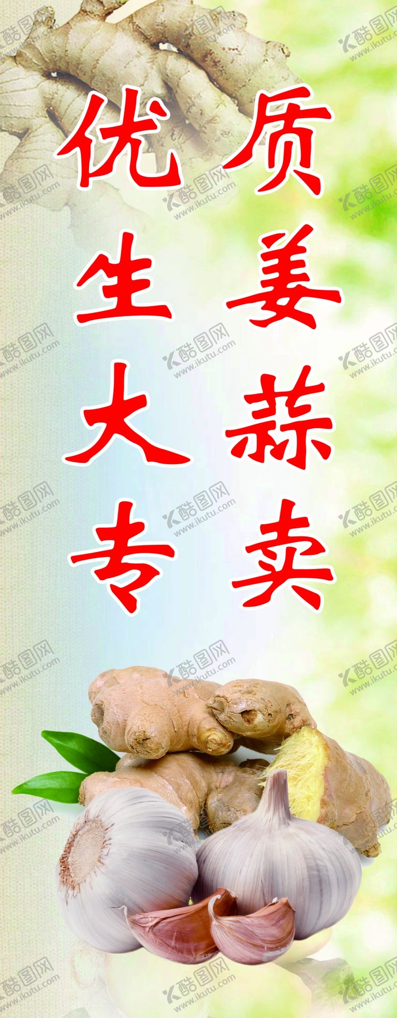 编号：80236405152300143543【酷图网】源文件下载-生姜金针菇展架