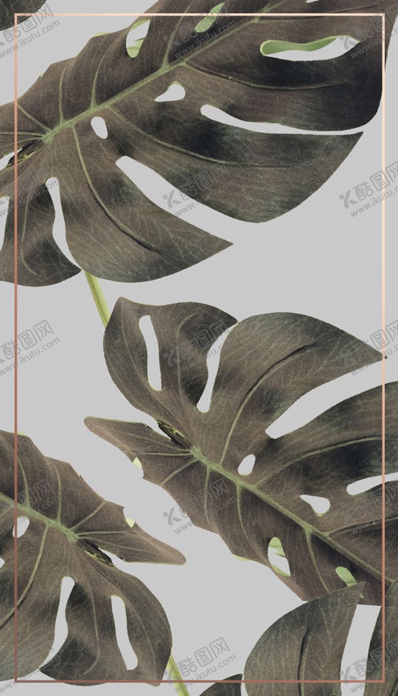 编号：76080809211205538261【酷图网】源文件下载-小清新卡片