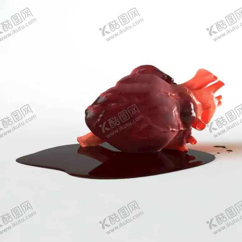 编号：44874211250444277734【酷图网】源文件下载-C4D模型心脏