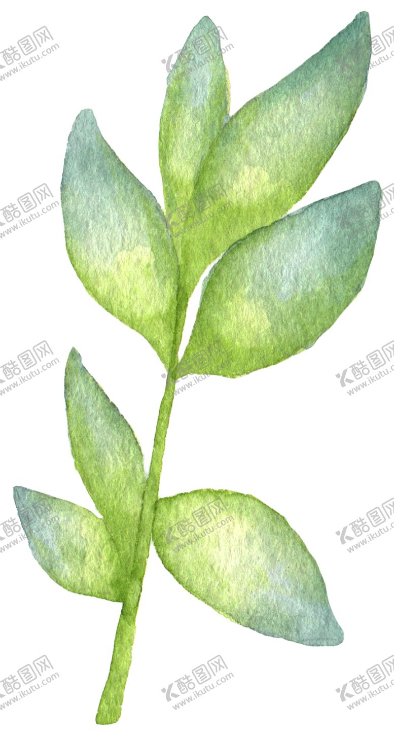 编号：13605109292218359666【酷图网】源文件下载-手绘植物