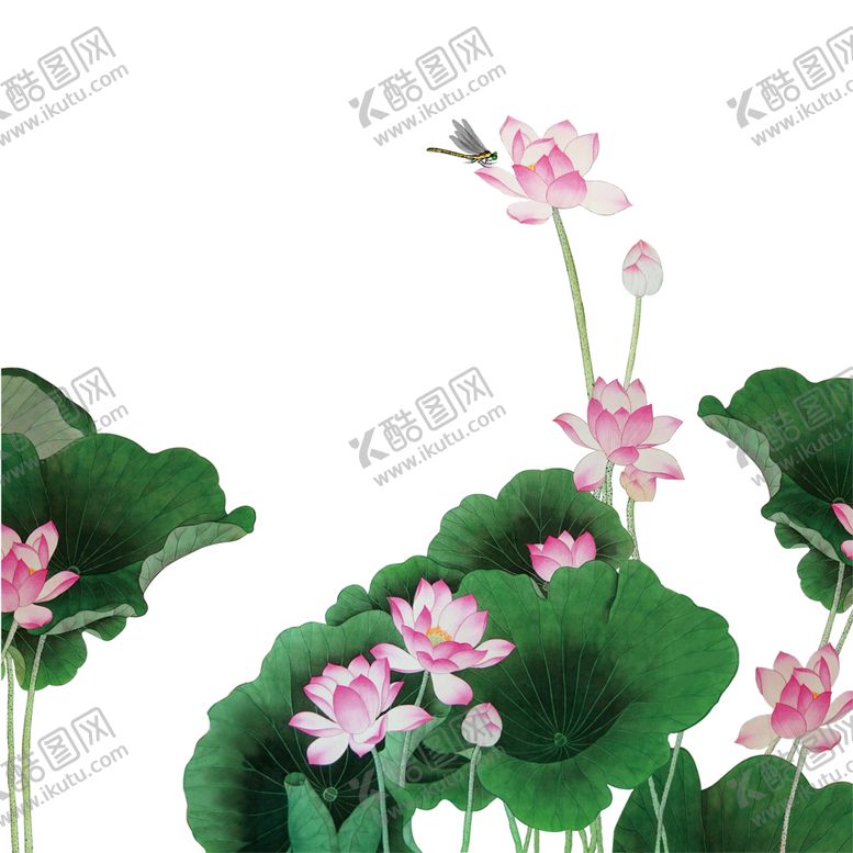 编号：71918607131749014985【酷图网】源文件下载-中国风荷叶荷花绘画