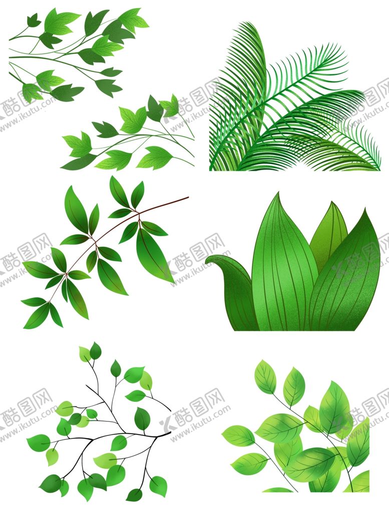 编号：87619409160655339124【酷图网】源文件下载-清新春天植物叶子素材合集