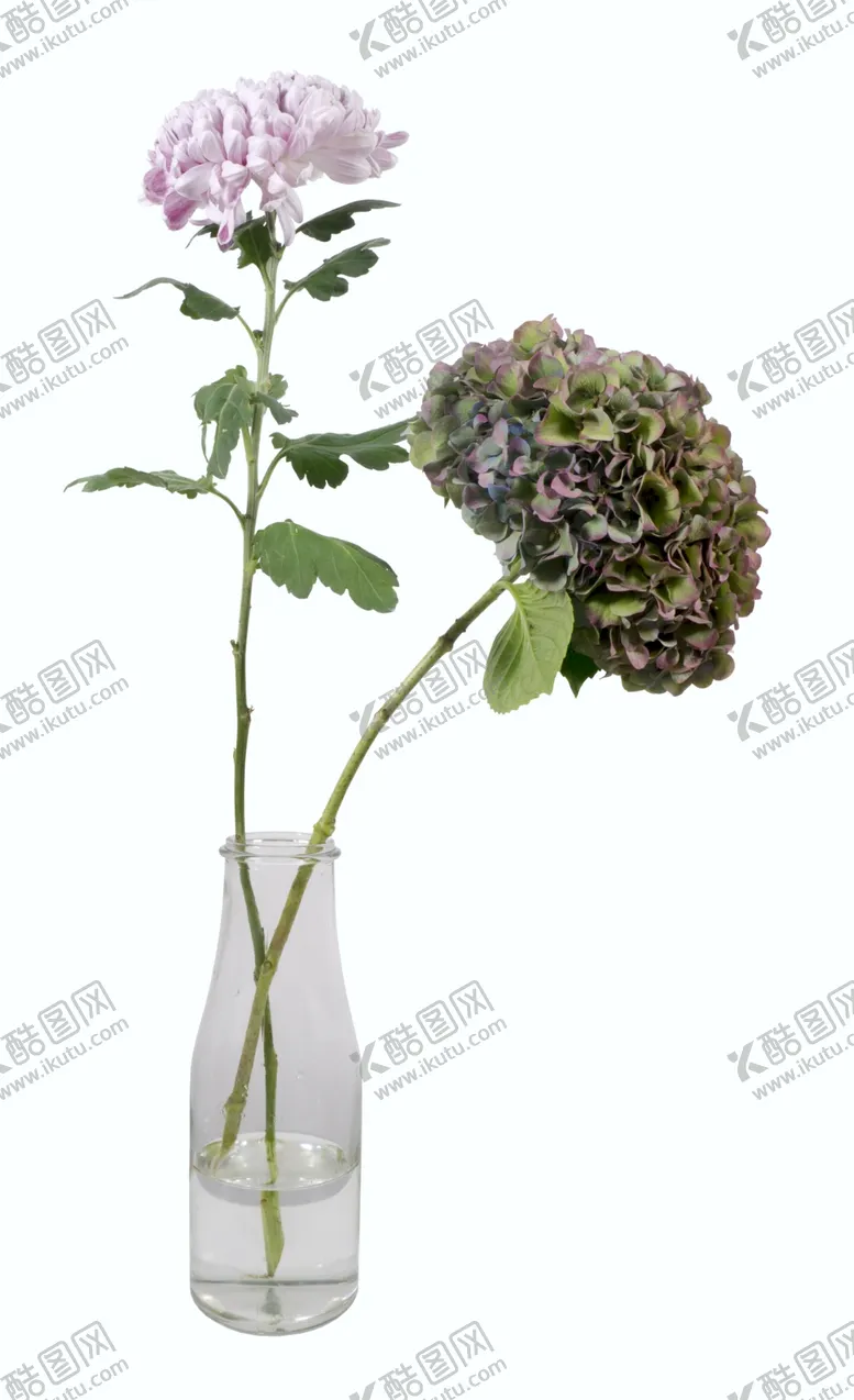编号：38840601220806561162【酷图网】源文件下载-插花素材