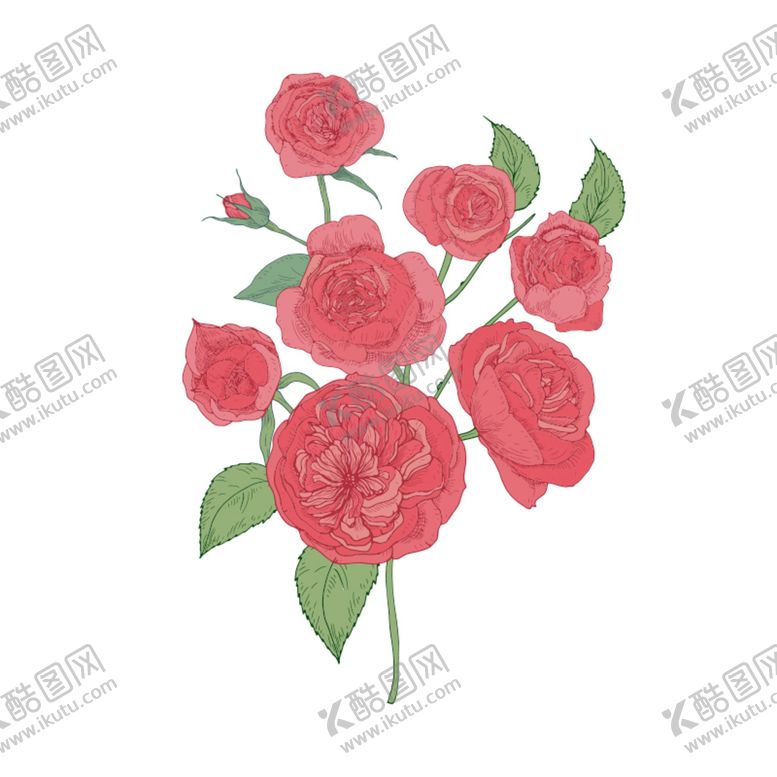 编号：91242001270341584419【酷图网】源文件下载-手绘花卉