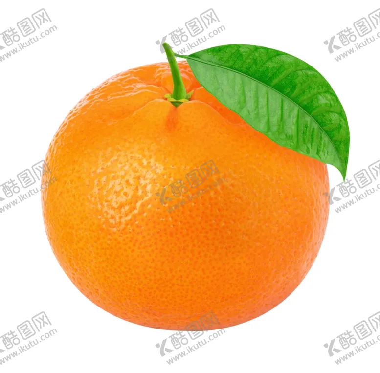 编号：31497006240042364591【酷图网】源文件下载-柑橘