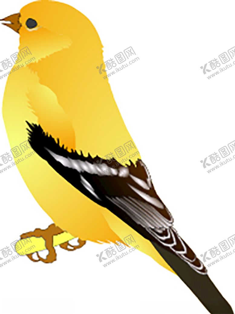 编号：75091109082240014928【酷图网】源文件下载-小鸟