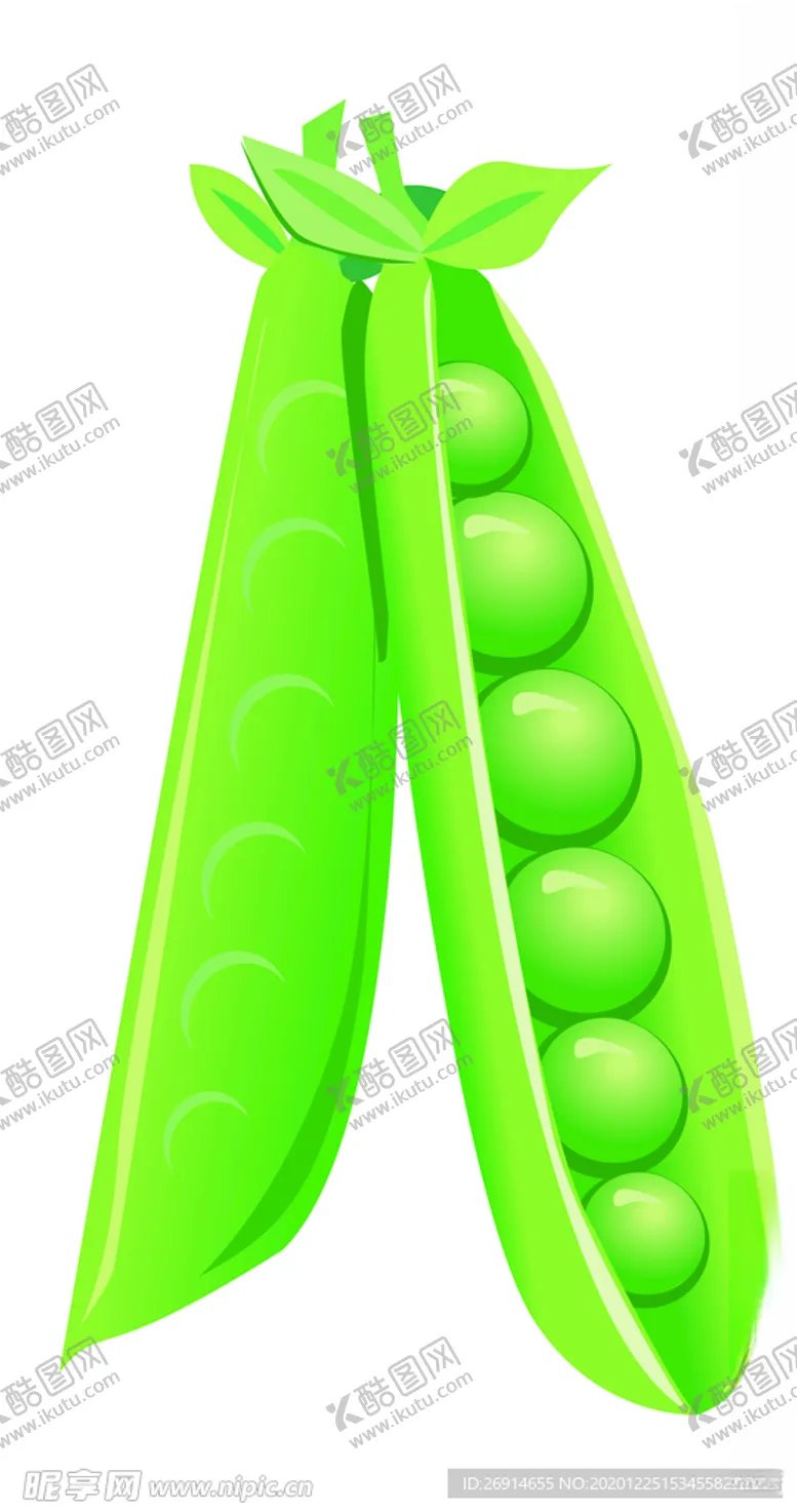 编号：85712504240914219328【酷图网】源文件下载-矢量手绘豌豆荚