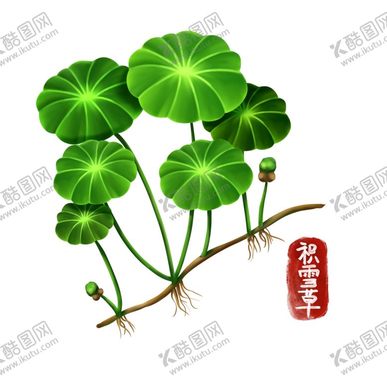 编号：41973602070138454708【酷图网】源文件下载-卡通积雪草