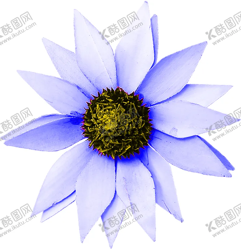 编号：29378706232242228284【酷图网】源文件下载-花素材