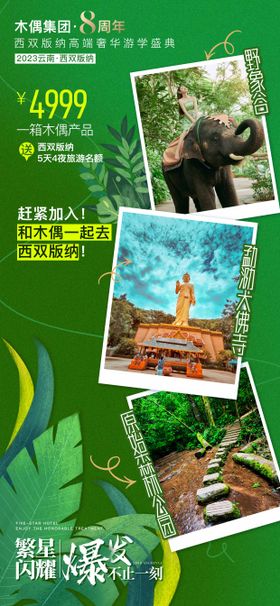 旅游周年庆大象微商