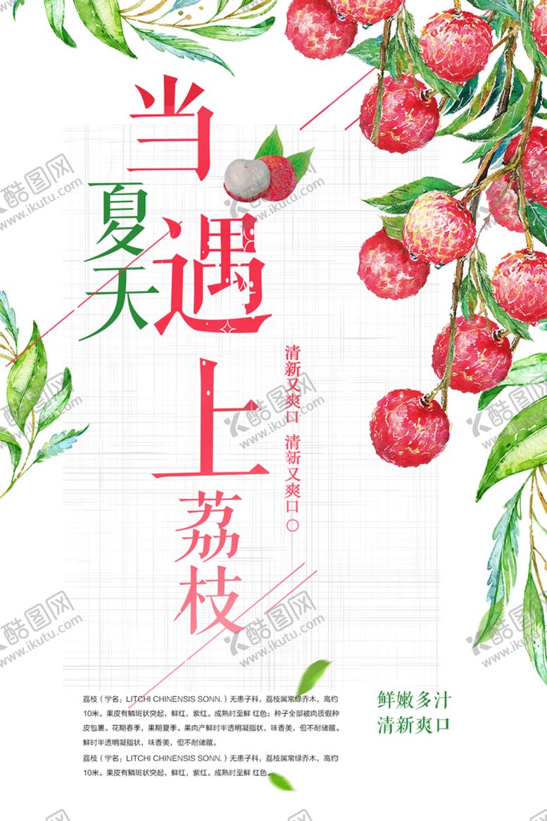 编号：73869109171630266301【酷图网】源文件下载-清新荔枝海报