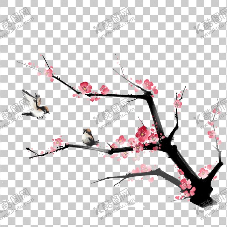 编号：11770705101027136074【酷图网】源文件下载-透明底梅花