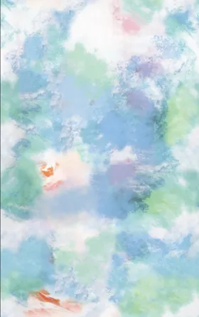 大牌 数码印花  扎染